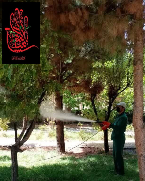 عملیات سمپاشی